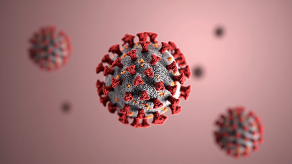 Salivirus : tout savoir sur ce virus émergent de la famille des picornaviridés : facteurs de risque