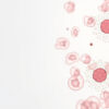 Syndrome d'activation mastocytaire : comprendre, diagnostiquer et traiter cette maladie complexe