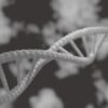 Syndrome de Bloom : causes, symptômes, diagnostic et prise en charge