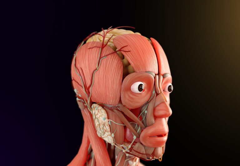 Syndrome du piriforme : guide complet de prévention