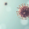 Torovirus : comprendre ce pathogène viral responsable de gastro-entérites
