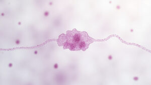 Toxine B de Clostridium difficile : tout comprendre sur ce facteur de virulence majeur