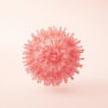 Varicelle-Zona Virus (VZV) : tout comprendre sur ce virus et ses manifestations