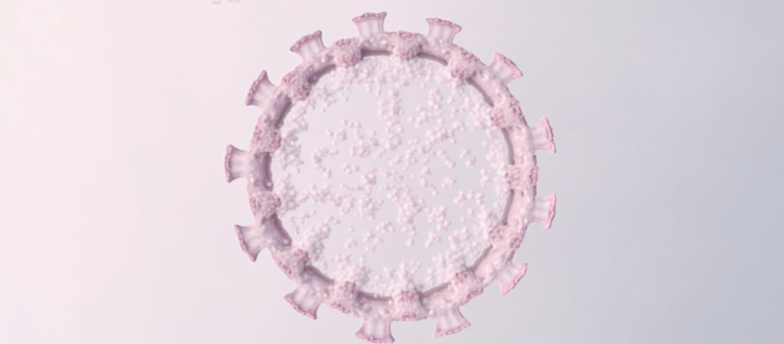 Virus de l'hépatite E génotype 3 : transmission, symptômes et traitement