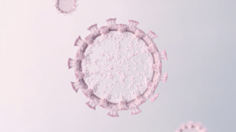 Virus de l&rsquo;hépatite E génotype 3 : transmission, symptômes et traitement