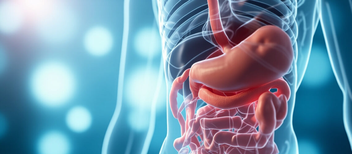 La queue du pancréas : anatomie, fonction et pathologies