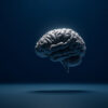 Le Gyrus Temporal Supérieur : Anatomie, Fonctions et Pathologies