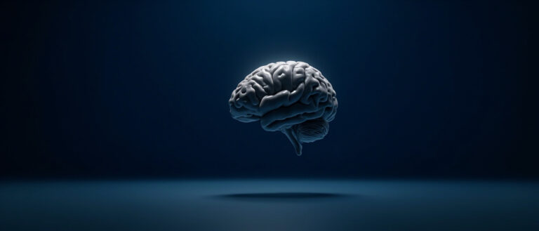 Le Gyrus Temporal Supérieur : Anatomie, Fonctions et Pathologies