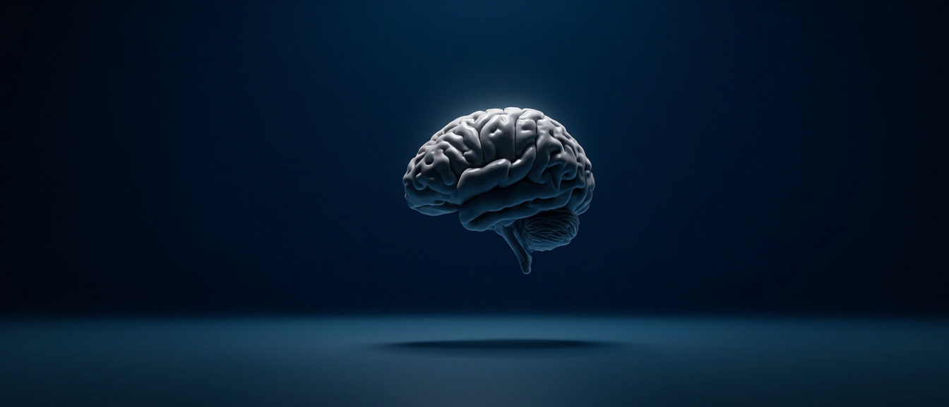 Le Gyrus Temporal Supérieur : Anatomie, Fonctions et Pathologies