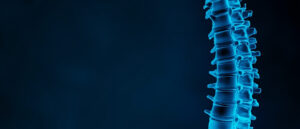 Le pédicule vertébral : anatomie, rôle et pathologies