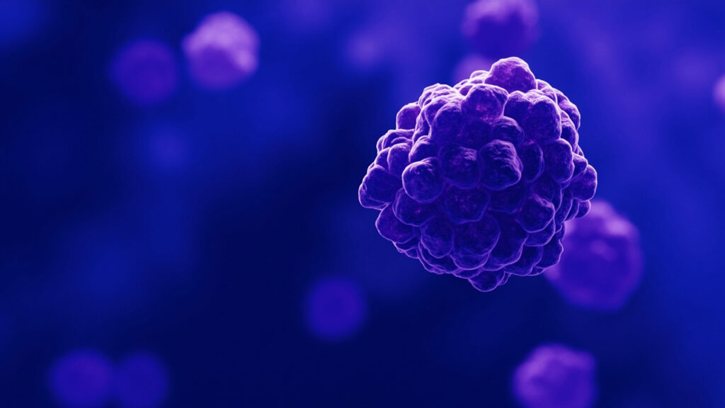 Megasphaera : tout comprendre sur cette bactérie anaérobie du microbiote : signes et manifestations