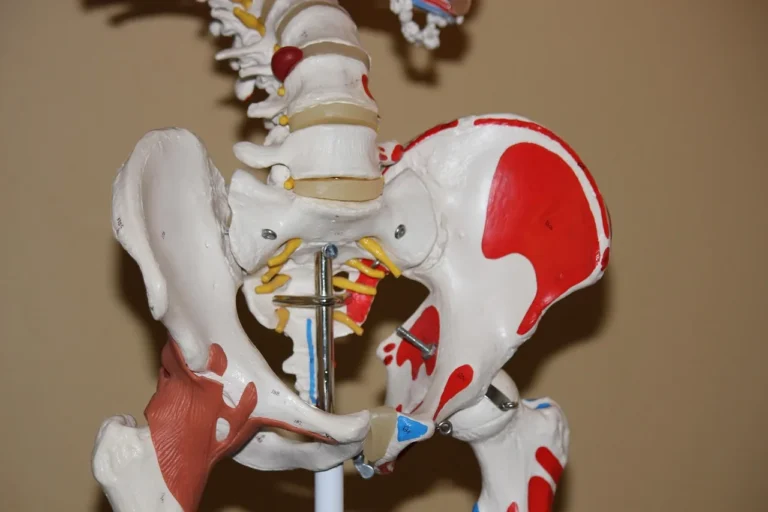 Bourse trochanterienne : anatomie et pathologies
