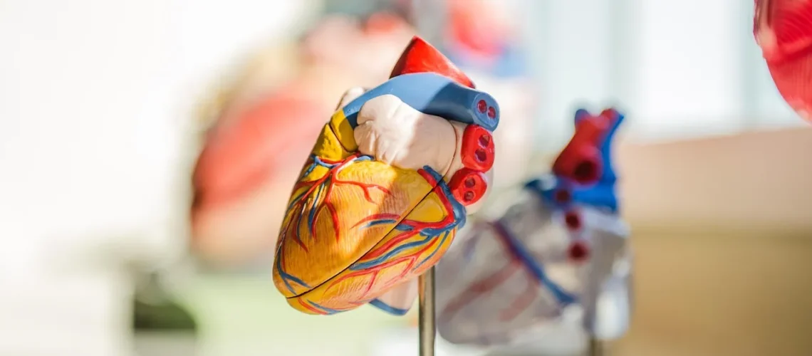Cardiomyopathie : comprendre, diagnostiquer et traiter cette maladie du muscle cardiaque