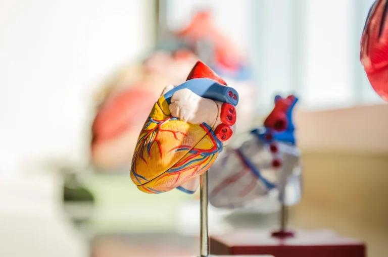 Cardiomyopathie restrictive : cette maladie rare du cœur