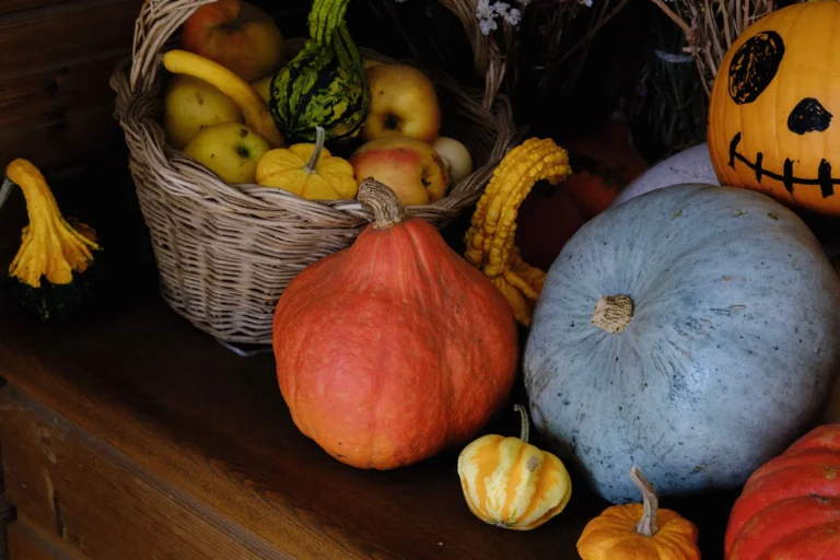Courges d&rsquo;automne : bienfaits nutritionnels