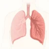 Emphysème pulmonaire : causes, symptômes, diagnostic et traitements