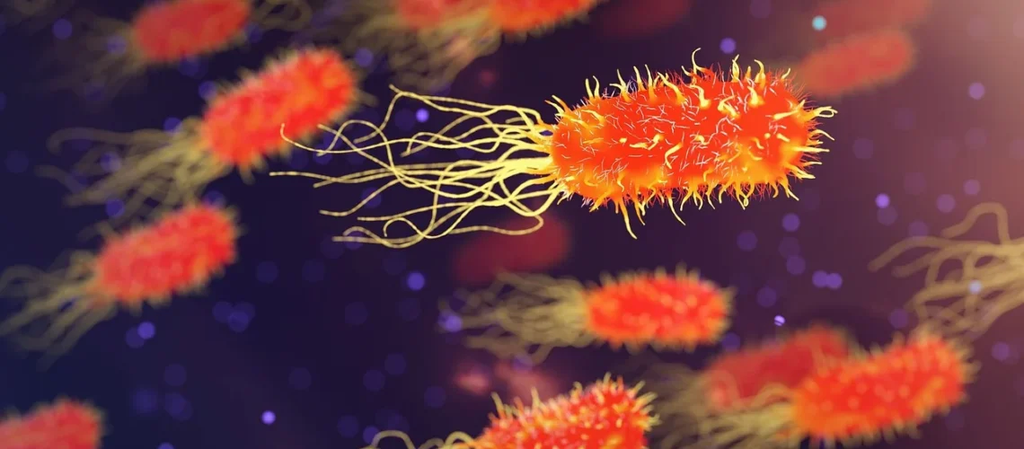 Haemophilus influenzae : tout savoir sur cette bactérie et ses infections
