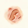 Heterophyes : causes, symptômes, diagnostic et traitement de cette parasitose intestinale