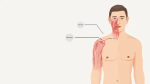 Hypermagnésémie : causes, symptômes et traitement