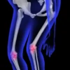 La Fibula (Péroné) : Anatomie Complète, Fonctions et Pathologies