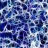 La moelle épinière : anatomie, fonctions et pathologies