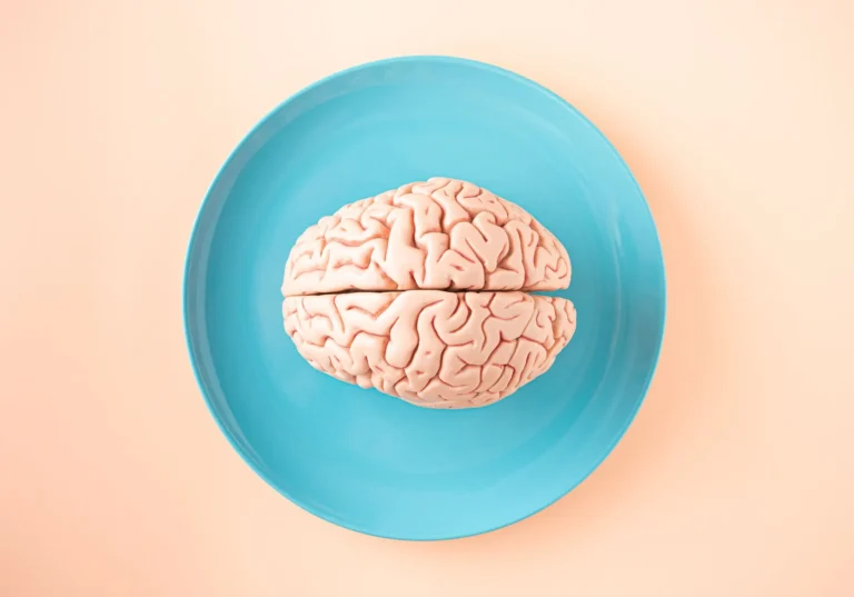 Le cerveau et ses fonctions : anatomie et rôles