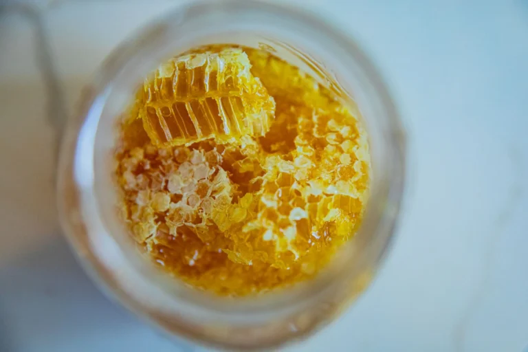 Le miel pasteurisé en rééducation : allié nutritionnel