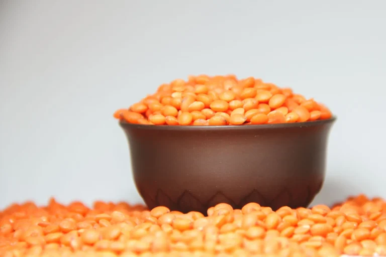 Lentilles et fer : tout savoir sur ce trésor nutritionnel
