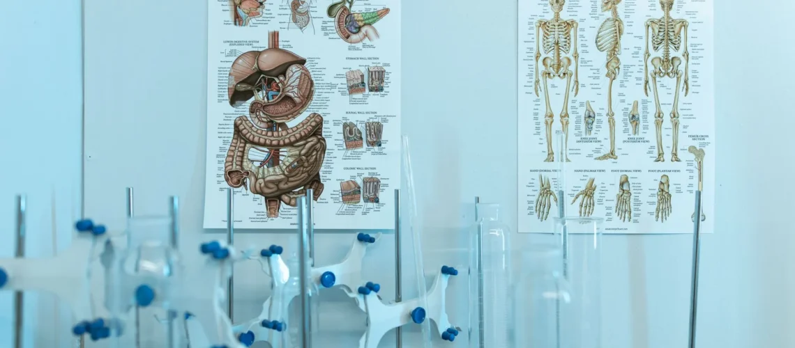 Affiches anatomiques colorées avec appareils de laboratoire présentant les systèmes humains.