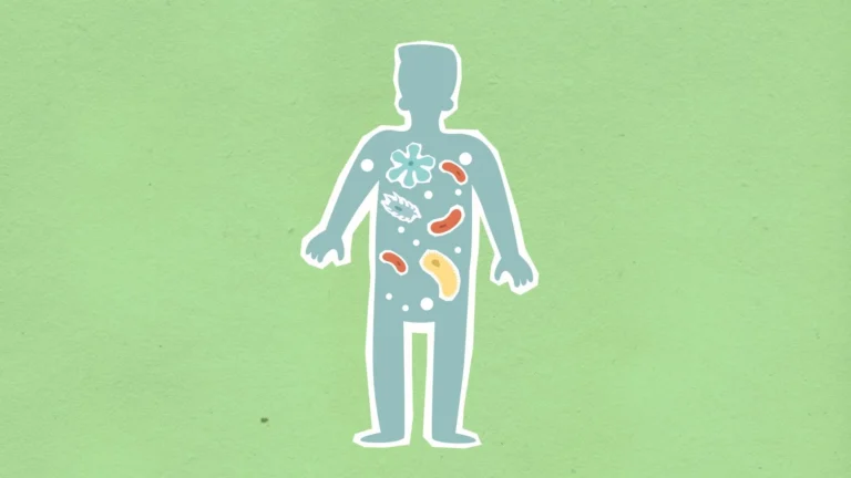 Les probiotiques et le microbiote : un duo essentiel
