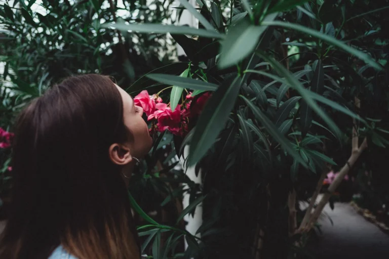 L&rsquo;olfaction : tout comprendre sur le sens de l&rsquo;odorat