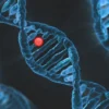 Mucopolysaccharidose : comprendre ces maladies génétiques rares