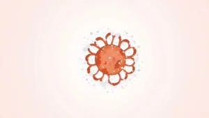 Virus parainfluenza 2 (HPIV-2) : symptômes et transmission