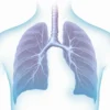 Aspergillose bronchopulmonaire allergique : symptômes, diagnostic et traitement