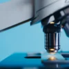 Choriocarcinome : causes, symptômes, diagnostic et traitements
