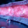 Colite éosinophilique : symptômes, diagnostic et traitements