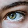 Dystrophie maculaire : comprendre, diagnostiquer et vivre avec cette maladie oculaire