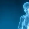 Foramen vertébral : anatomie, fonction et pathologies associées