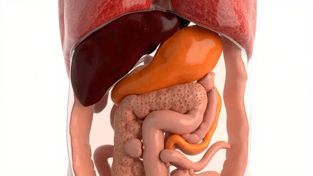Insuline NPH : guide complet sur cette insuline intermédiaire : vue générale