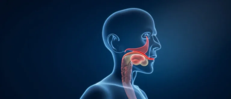 La glande sublinguale : anatomie, fonction et pathologies