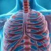 La veine azygos : anatomie, fonction et pathologies associées