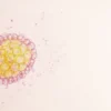 L'agent de l'insomnie fatale familiale : comprendre le prion responsable