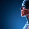 Le constricteur inférieur du pharynx : anatomie, fonction et pathologies associées