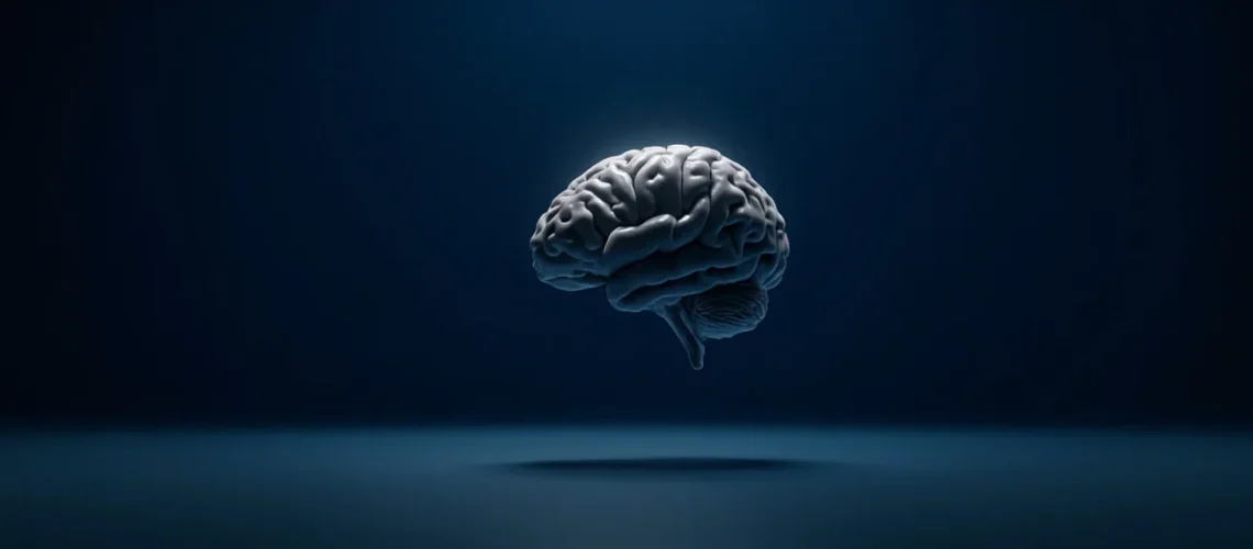 Le Gyrus Temporal Supérieur : Anatomie, Fonctions et Pathologies
