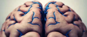 Le sinus sagittal supérieur : anatomie et pathologies