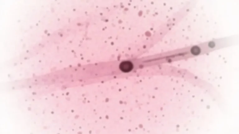 L&rsquo;érythroblastopénie : une maladie rare de la moelle