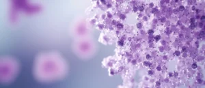 Mycobacterium malmoense : comprendre cette mycobactérie