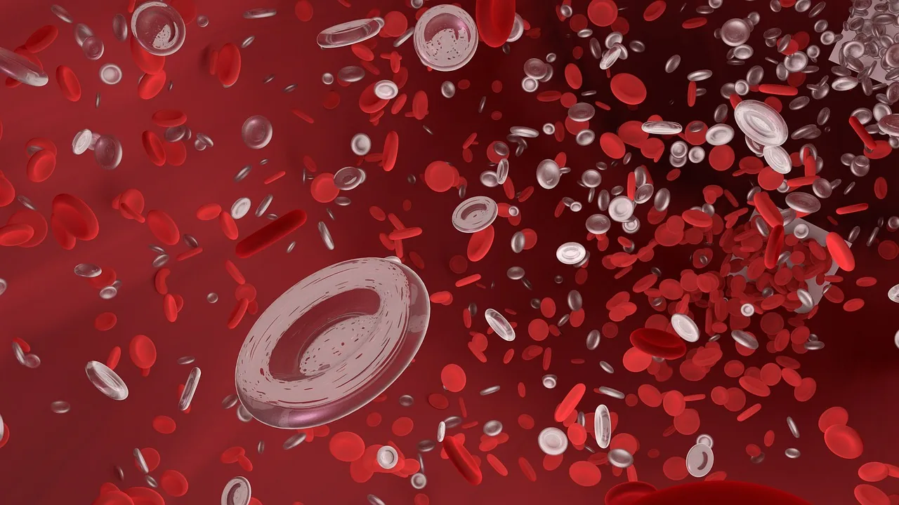 Polyglobulie de Vaquez : symptômes et diagnostic