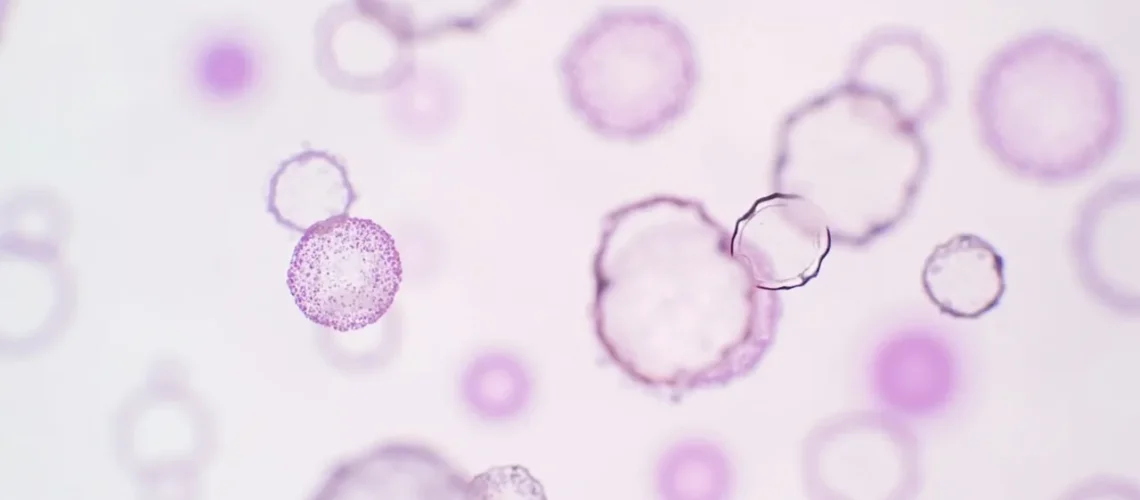 Rotavirus G1 : comprendre le génotype le plus répandu de la gastro-entérite infantile