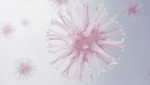 Salivirus : le virus émergent des picornaviridés